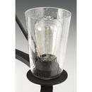 Progress Lighting Graphite 36 in. 60W 15-Light Medium E-26 Incandescent Chandelier 