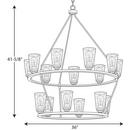 Progress Lighting Graphite 36 in. 60W 15-Light Medium E-26 Incandescent Chandelier 