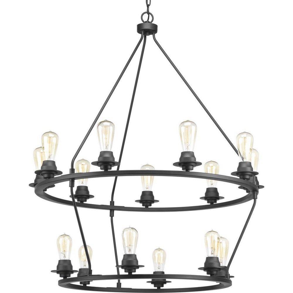 Progress Lighting Graphite 36 in. 60W 15-Light Medium E-26 Incandescent Chandelier 