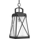 Progress Lighting Black 100W 1-Light Medium E-26 Incandescent Outdoor Pendant 