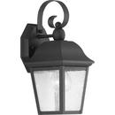 12-7/8 in. 100W 1-Light Outdoor Wall Sconce in Black