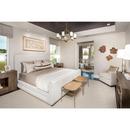 Progress Lighting Brushed Bronze 27-3/8 in. 100W 5-Light Medium E-26 Incandescent Chandelier 