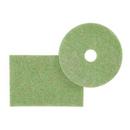 Niagara&trade; Green Scrubbing Pad in Green (Case of 5) 