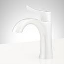 Signature Hardware Chrome Single Handle Monoblock Bathroom Sink Faucet with Pop-Up Drain Assembly 