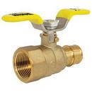 Webstone a brand of NIBCO Brass Full Port PEX Expansion x FNPT 400# Ball Valve 