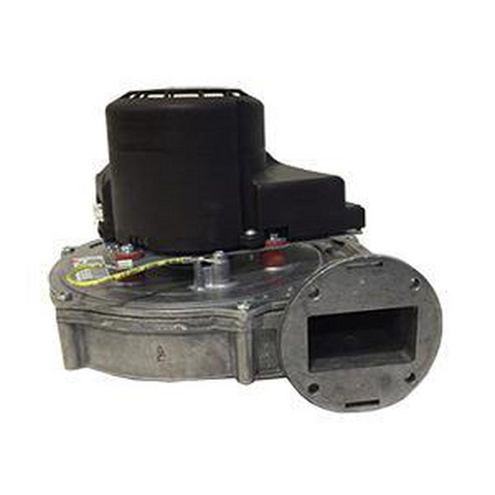 Bradford White Blower Motor Only with Gasket 