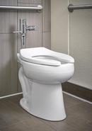 KOHLER White Elongated Toilet Bowl 
