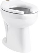 KOHLER White Flushometer Bowl with Top Spud 