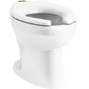 KOHLER White Elongated Toilet Bowl in White 