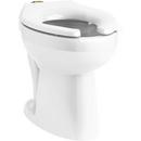 KOHLER White Elongated Toilet Bowl in Black Black 
