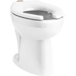 Elongated Toilet Bowl in White
