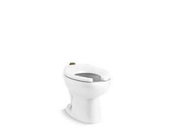 Elongated Toilet Bowl in White
