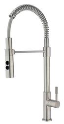 Fortis Brushed Nickel Single Handle Pull Down Kitchen Faucet 