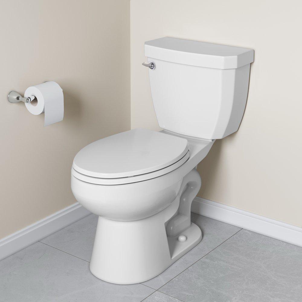 PROFLO&reg; Polished Chrome Wall Mount Toilet Tissue Holder 