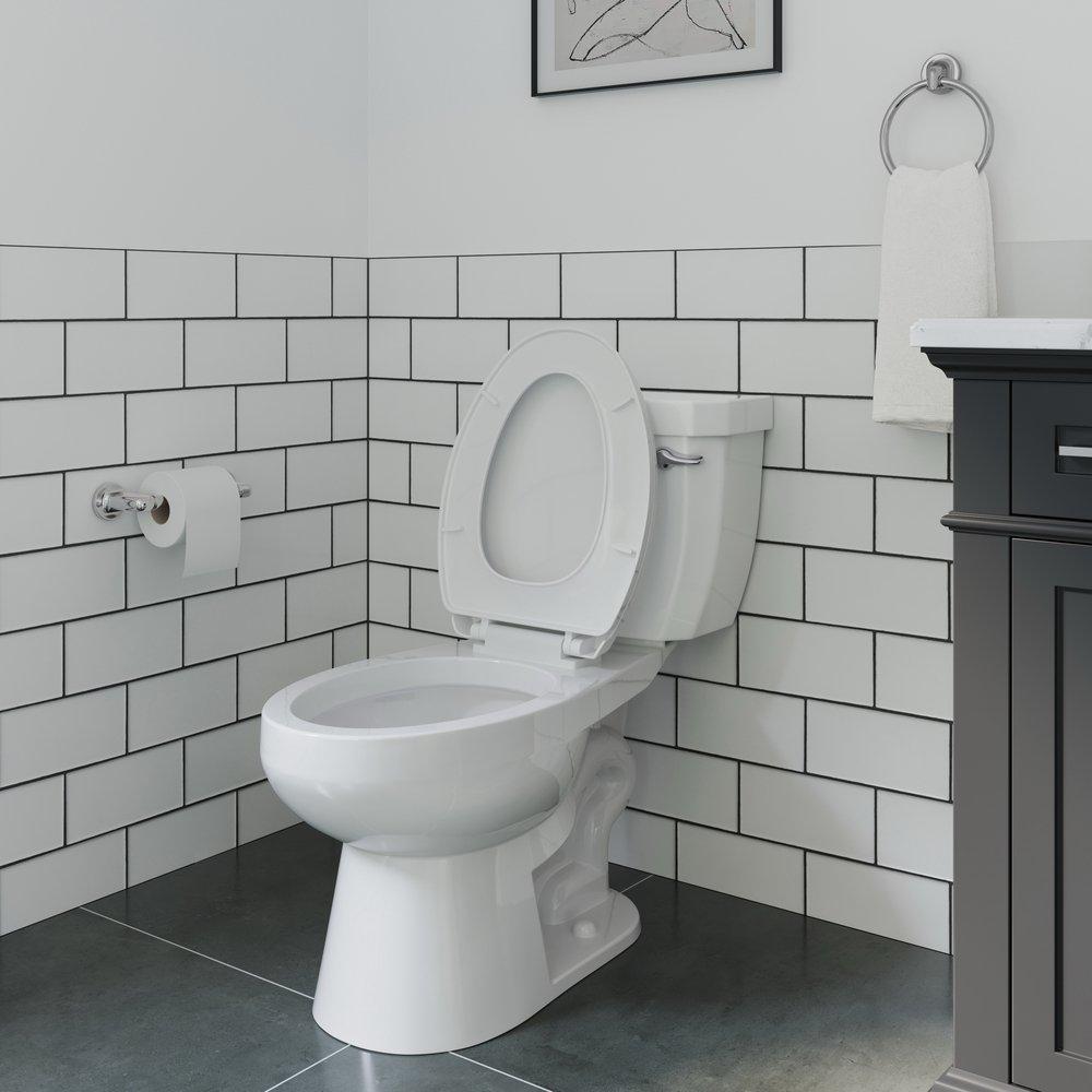 PROFLO&reg; Polished Chrome Concealed Mount and Wall Mount Toilet Tissue Holder 