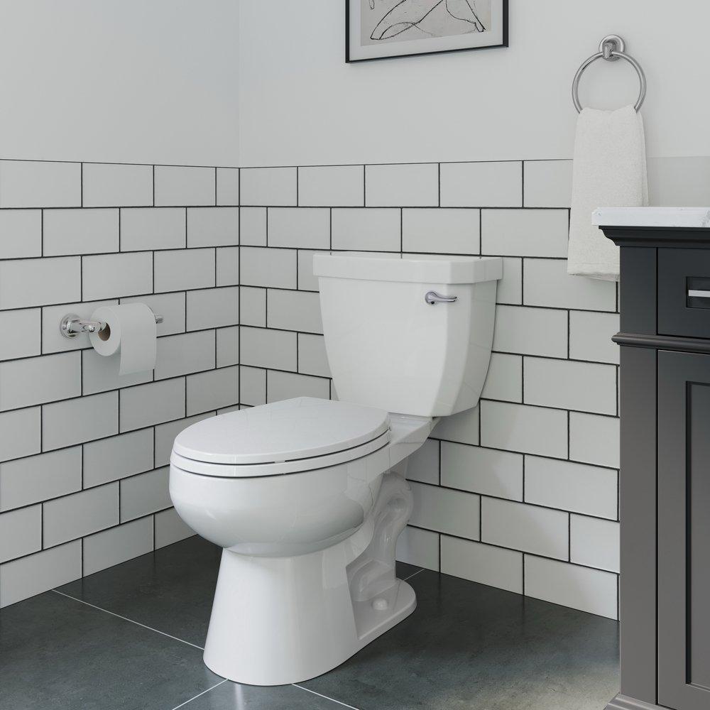 PROFLO&reg; Polished Chrome Concealed Mount and Wall Mount Toilet Tissue Holder 