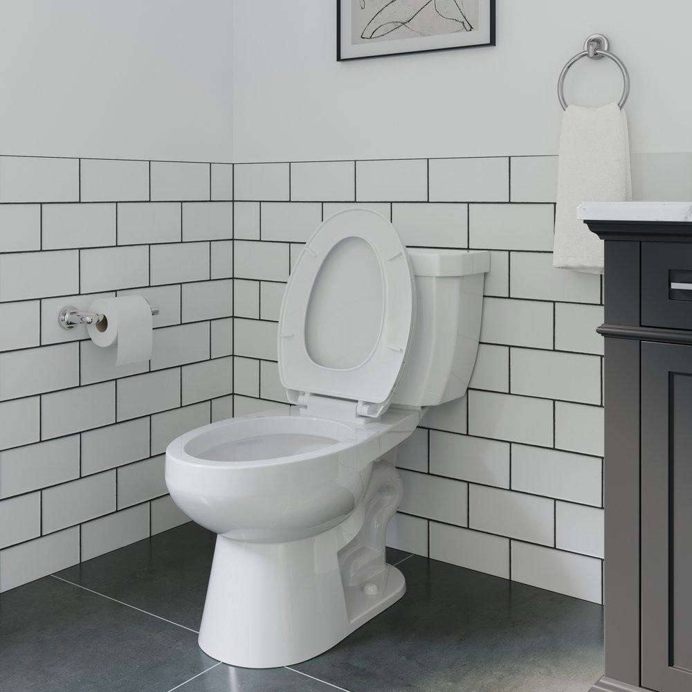 PROFLO&reg; Polished Chrome Concealed Mount and Wall Mount Toilet Tissue Holder 