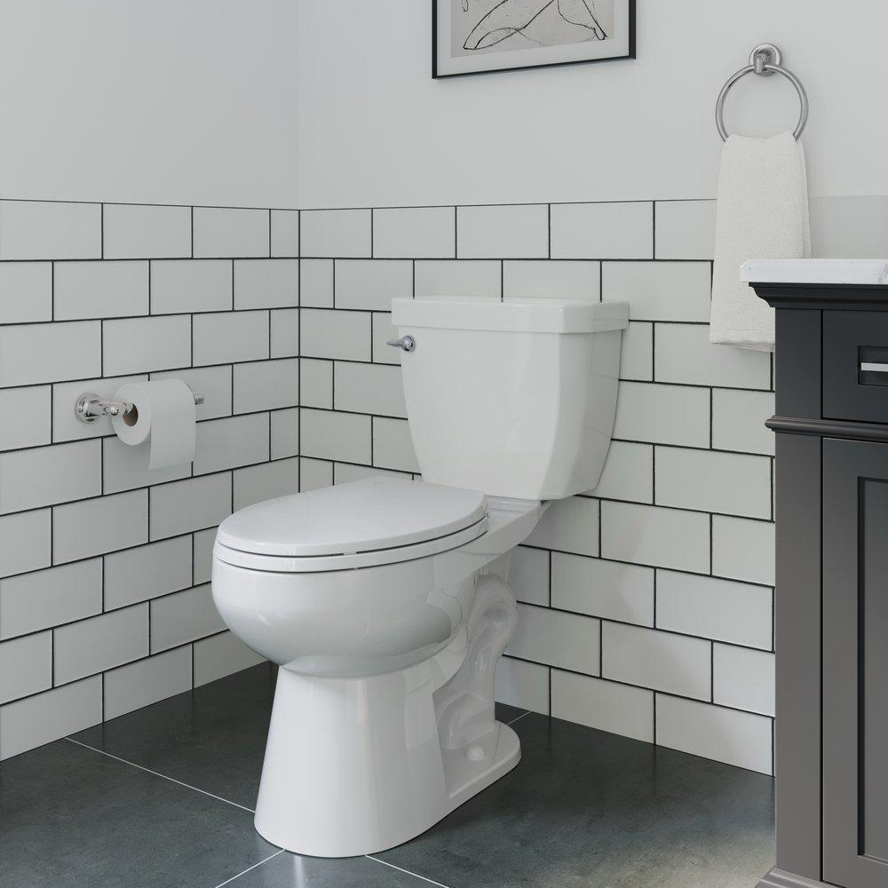 PROFLO&reg; Polished Chrome Concealed Mount and Wall Mount Toilet Tissue Holder 