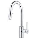 Pfister Polished Chrome Single Lever Handle Bar Faucet 
