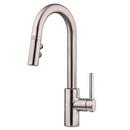 Pfister Stainless Steel Single Lever Handle Bar Faucet 