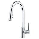 Pfister Polished Chrome Single Handle Pull Down Kitchen Faucet 