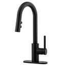 Pfister Matte Black Single Lever Handle Bar Faucet 