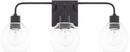 HomePlace by Capital Lighting Matte Black 100W 3-Light Vanity with Clear Glass 