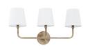 60W 3-Light Vanity Fixture in Aged Brass