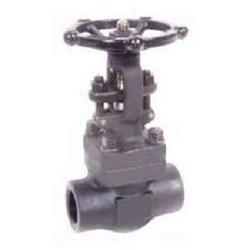 1/2 in. Forged Steel Standard Port Socket Weld x FPT Gate Valve