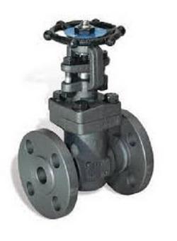 1-1/2 in. Forged Steel Standard Port Flanged Gate Valve