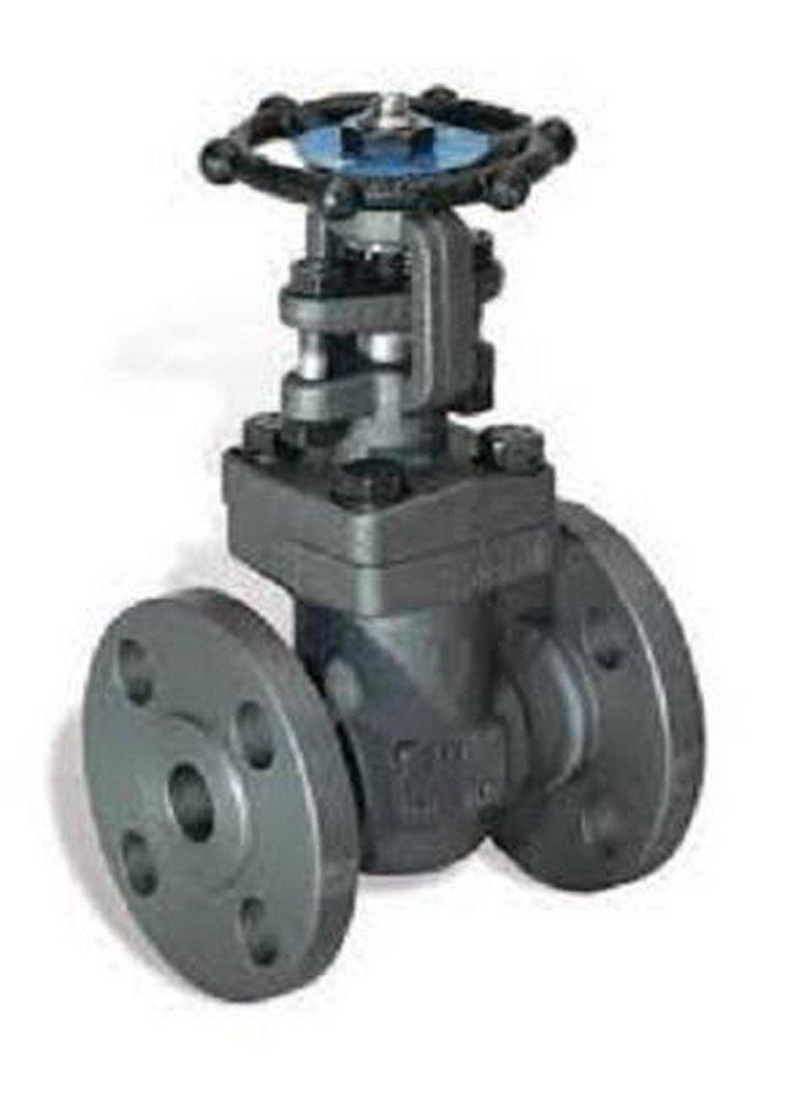 DSI Forum Energy Technologies Carbon Steel Standard Port Flanged Gate Valve 