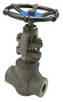 1/2 in. Forged Steel Standard Port Female Threaded x Male Socket Weld Gate Valve