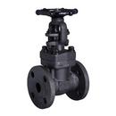 Diversified Supply Forged Steel Regular Port Flanged Gate Valve 