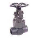 DSI Forum Energy Technologies Forged Steel Standard Port Threaded x Socket Weld Gate Valve 