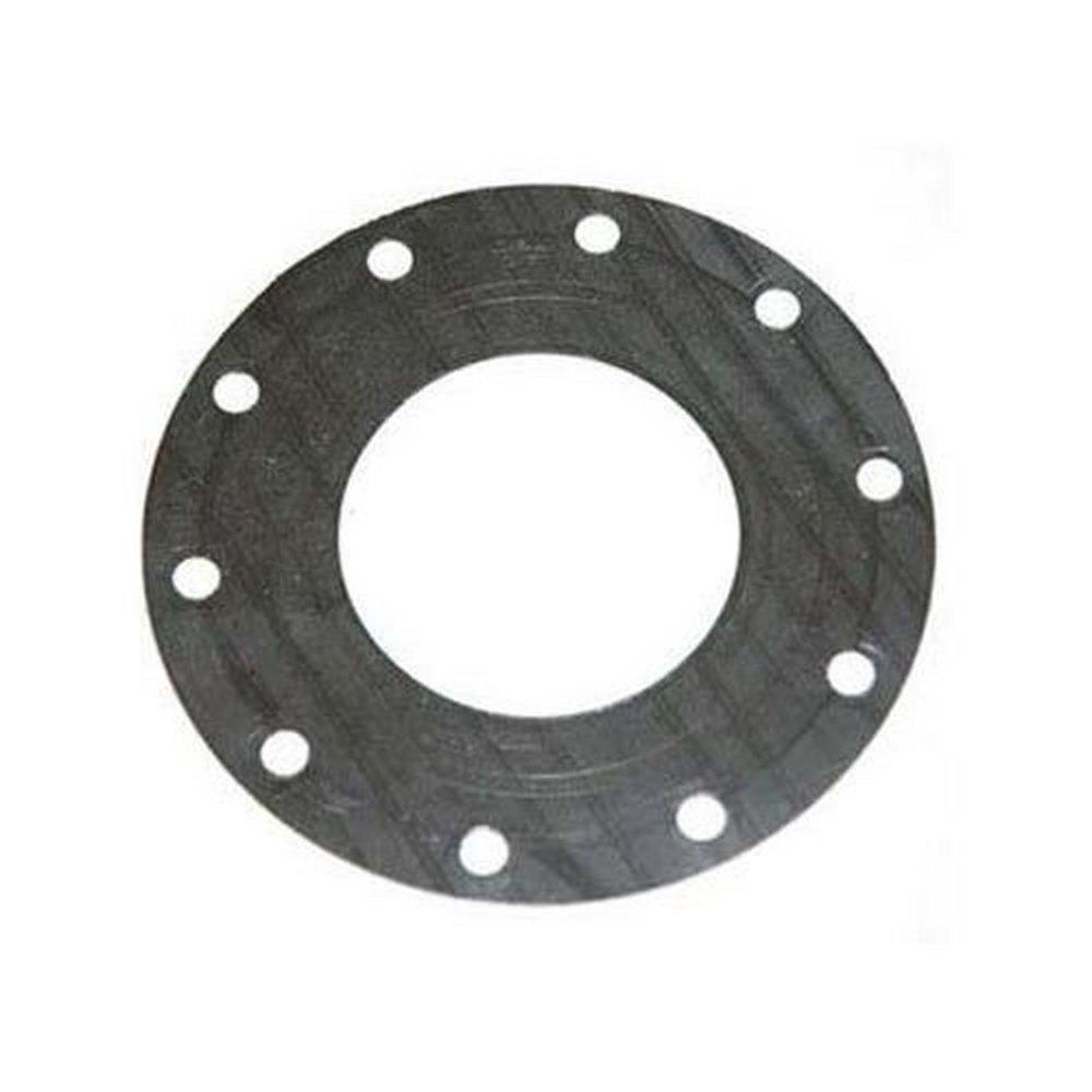 Lamons Gasket Blue 300# Ring Gasket 