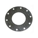 Lamons Gasket Blue 300# Ring Gasket 