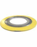 10 in. 150# Carbon Steel and Plastic Spiral Wound Gasket