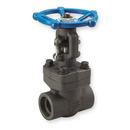 William E Williams Valve Corporation Stainless Steel Full Port Socket Weld Gate Valve 