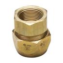 1 in. Female Threaded Brass Flexible Gas Pipe Fitting