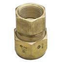 3/4 in. Female Straight Flexible Gas Pipe Fitting