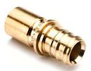 REHAU Brass PEX Everloc+ x Male Sweat Adapter 