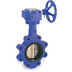 10 in. Cast Iron Flanged EPDM Bare Stem Butterfly Valve