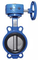 3 in. Ductile Iron Flanged EPDM Wheel Handle Butterfly Valve