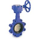 8 in. Cast Iron Flanged EPDM Bare Stem Butterfly Valve