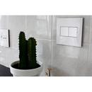 Pass & Seymour Gloss White 2-Gang Wallplate 