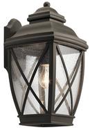 150W 1-Light Incandescent Outdoor Wall Sconce in Olde Bronze