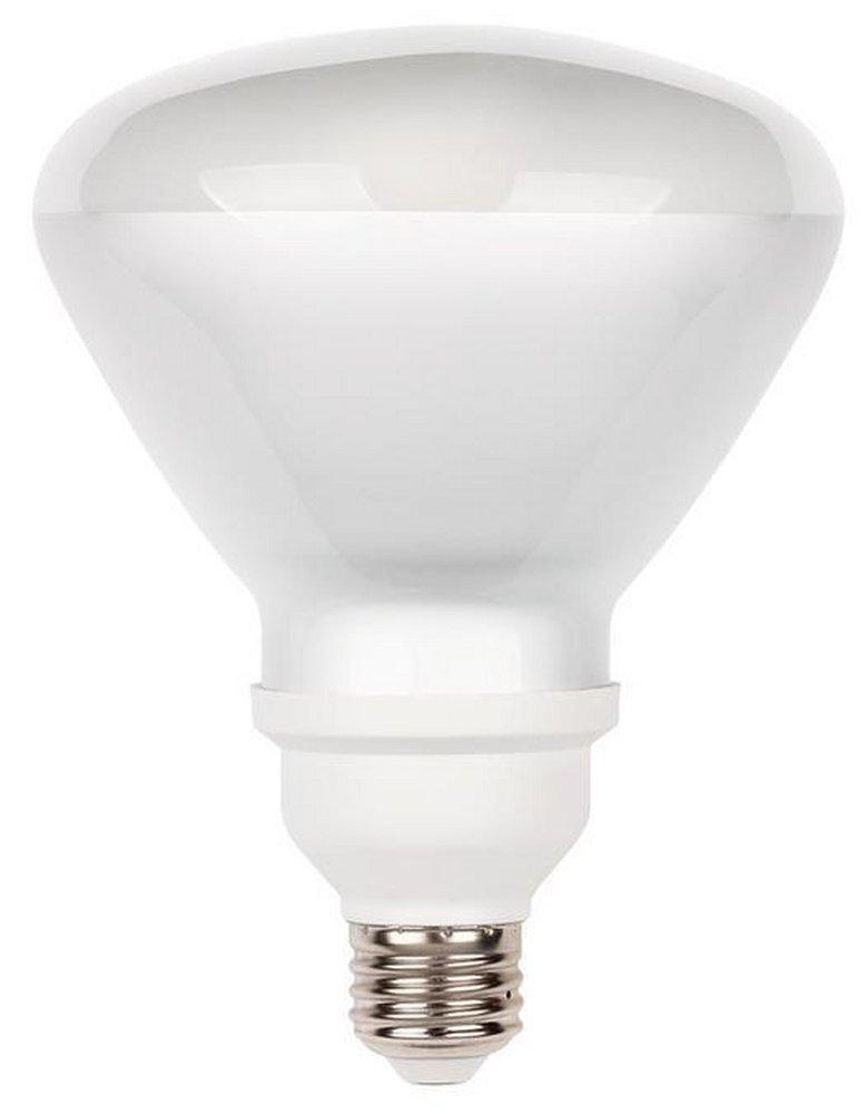 100W R40 Light Bulb with Medium Base 