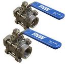 FNW&reg; 304 Stainless Steel Full Port Threaded x Socket Weld 1000# Ball Valve 