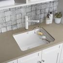 BLANCO White 1-Hole 1-Bowl Drop-In and Undermount Laundry Sink with Rear Center Drain 