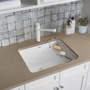 BLANCO White 1-Hole 1-Bowl Drop-In and Undermount Laundry Sink with Rear Center Drain 